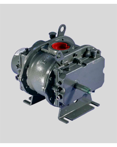 Roots Universal RAI DSL Blowers