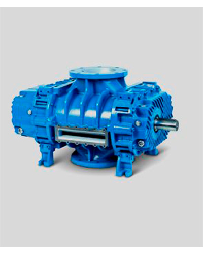 Remanufactured Robuschi Blowers