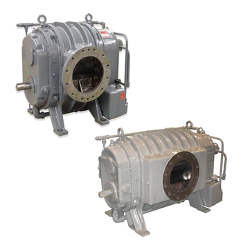 RGS Rotary Positive Blowers