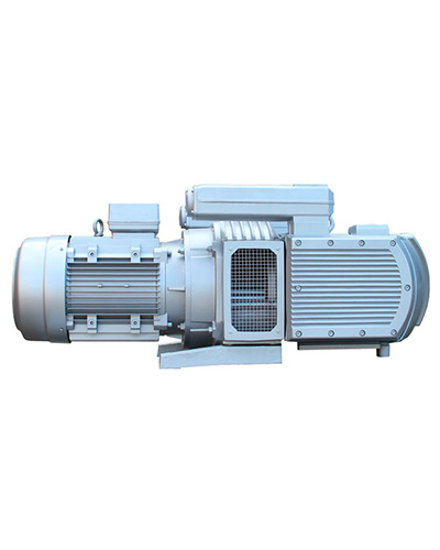 Dry Rotary Vane Pumps